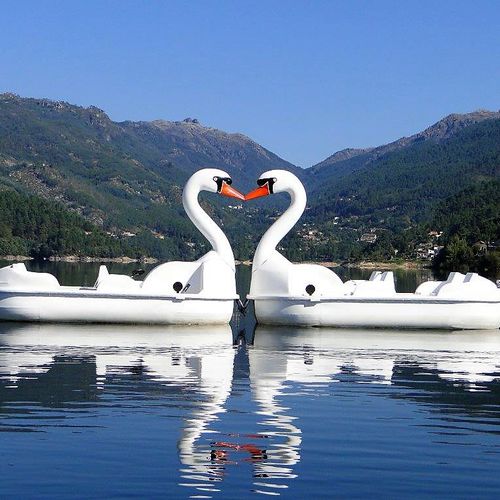 Hidropedal para 4 personas - GRAN CISNE - AVENTURAS AQUATICAS - LA NORIA - comercial / para empresas de alquiler / sin mantenimiento