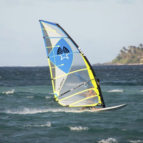 Vela de windsurf allround - Lion - Ezzy Sails 2 - 7 sables / 6 sables