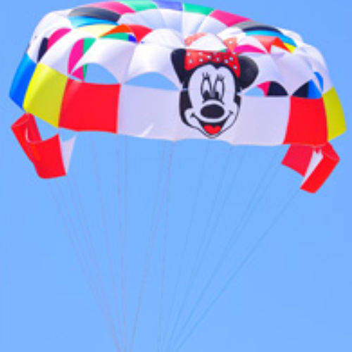 Parasail a medida - Skylar - Pegasus Parasails - 1-4 plazas