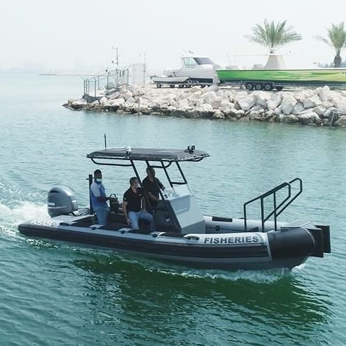 Barco profesional barco de vigilancia - 7. M D-Tube - ASIS BOATS - barco de pesca profesional / fueraborda / de aluminio