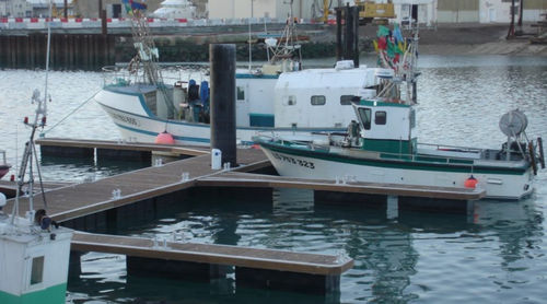 Pantalán flotante - ATLANTIC MARINE - modular / de amarre / para la pesca
