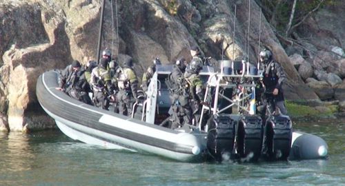 Barco profesional fueraborda - Cougar C11 - Griffon Hoverwork - embarcación neumática semirrígida