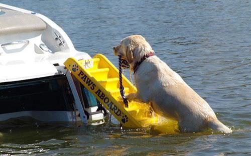 Escalera plegable - 5200 - Paws Aboard - para barco / para animal doméstico / de popa
