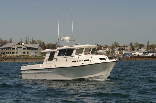 Cabin-cruiser intraborda - OFFSHORE 3000 - Sea Sport, Inc - con hard-top / de pesca deportiva / con 4 literas
