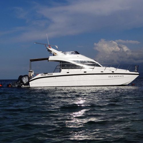 Yate a motor catamarán - Sea Menace - North Sea Boats - de gran velocidad / con fly