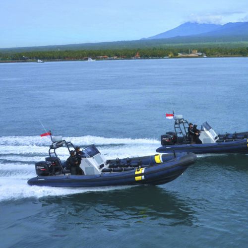 Barco profesional barco de vigilancia - X8.5 - North Sea Boats - barco utilitario / intraborda / fueraborda