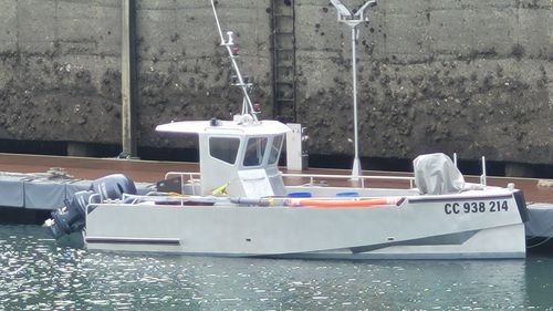 Barco de motor de pesca-paseo fueraborda - Amarès REVERSE 800 Caseyeur - BORD A BORD - bimotor / con caseta de timón / multiusos