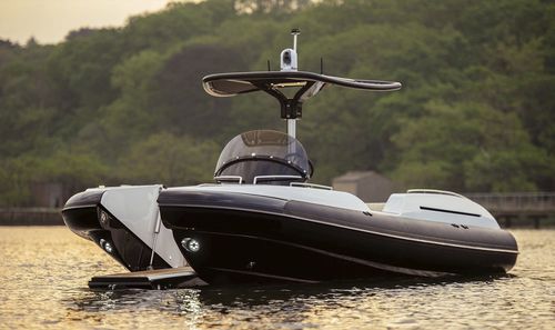 Embarcación neumática intraborda - DT BEACHLANDER - Pascoe International - RIB / con consola central / open