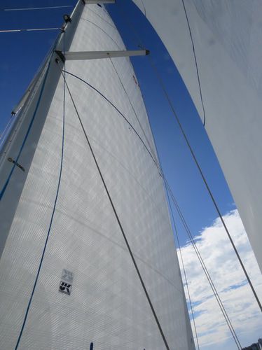 Vela mayor - Endure  - UK-Halsey International - para velero de crucero / de poliéster / Dyneema®