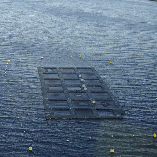Pantalán flotante - Fish farming - Cubisystem - de amarre / para la acuicultura / de plástico