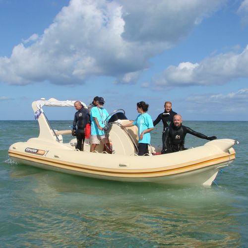 Embarcación neumática fueraborda - 625 CL - ESPADON CONCEPT - bimotor / semirrígida / con consola central
