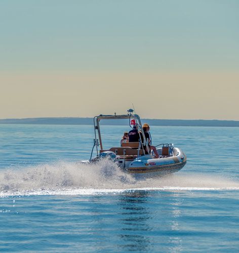 Embarcación neumática fueraborda - 550 PRO  - ESPADON CONCEPT - semirrígida / con consola central / de buceo