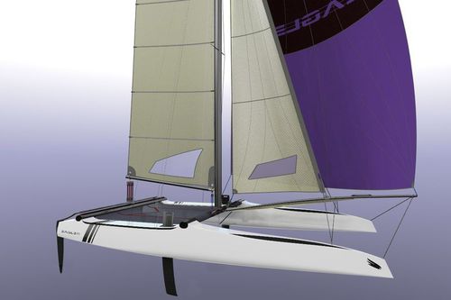 Catamarán deportivo para raid costero - 20 C - Eagle Catamarans - doble / con dos trapecios / spinnaker asimétrico