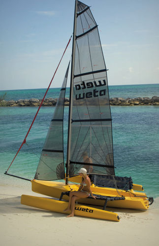 Trimarán deportivo - Weta Marine