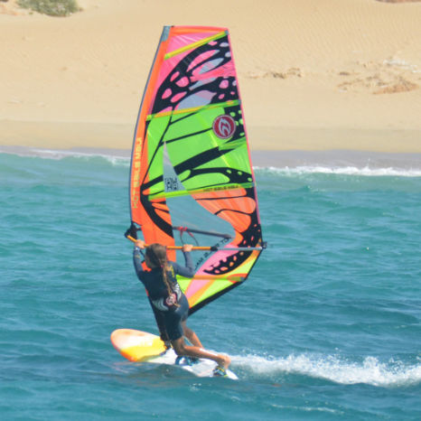 Vela de windsurf de wave - MICROFREAK - HOT SAILS MAUI - RDM / 4 sables