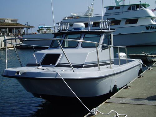 Cabin-cruiser fueraborda - Signature 22 - Radon - de pesca deportiva / con 3 literas