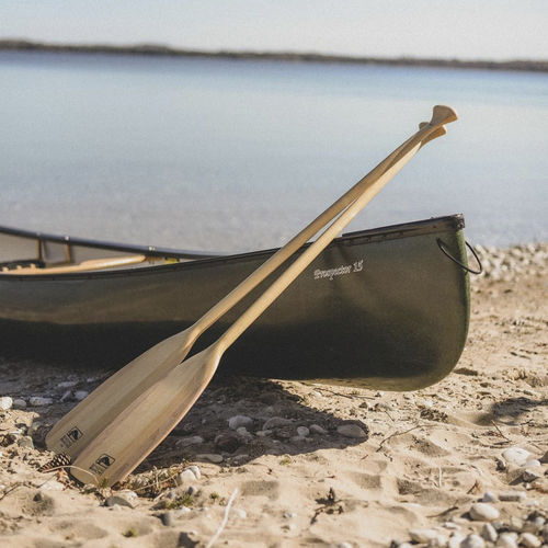 Pala para canoa - Loon - Bending Branches - de recreo / de iniciación / de aguas tranquilas