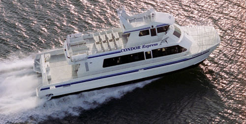 Barco profesional barco turístico - Condor Express - All American Marine - catamarán / hidrojet intraborda / diésel