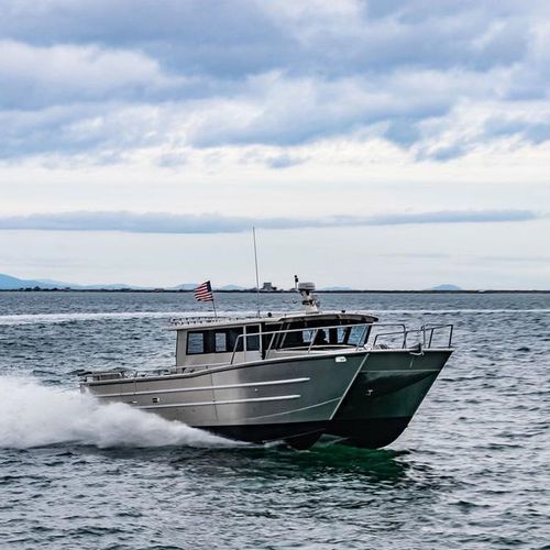 Barco profesional barco de pesca profesional - 4216-CTC - Armstrong Marine - catamarán / intraborda / diésel