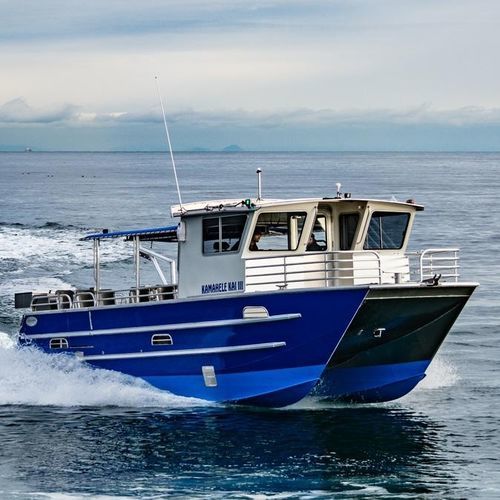 Barco profesional barco turístico - 3513-CTC | PaxCat - Armstrong Marine - catamarán / fueraborda / de aluminio