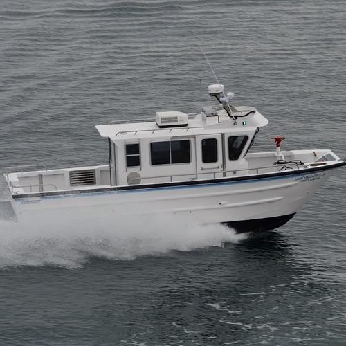 Barco profesional barco de vigilancia - 3111-CTC - Armstrong Marine - barco de bomberos / catamarán / intraborda