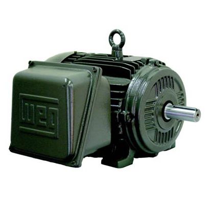 Motor intraborda - W21 TEFC IP55 - Weg Electric Motors - eléctrico / para buque / para barco profesional