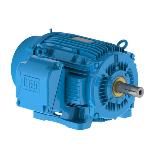 Motor intraborda - W22 IEEE-841™ Petrochem Motors - NEMA Premium® Efficiency - Weg Electric Motors - eléctrico / para barco profesional / para buque