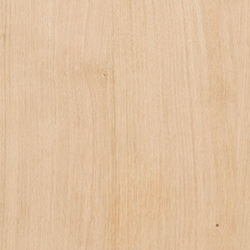 Panel de chapado - Knotty - Kuiper Holland - Superyacht Interior Panels - de roble