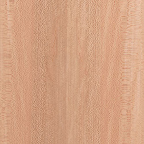 Panel de chapado - Sycamore - Kuiper Holland - Superyacht Interior Panels - de madera