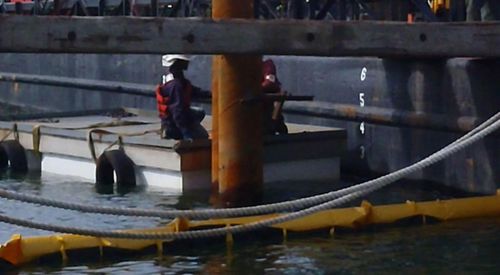 Pantalán flotante - AccuDock - de trabajo / para puerto deportivo / de aluminio