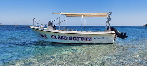 Barco profesional barco turístico - 620 W GLASS BOTTOM - Biskinis Bros S.A. - fueraborda