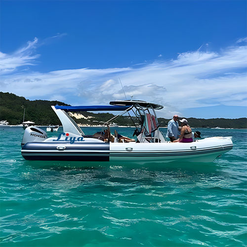 Embarcación neumática fueraborda - RIB750-C - Qingdao Lian Ya Boat Co.,Ltd. - gasolina / bimotor / semirrígida