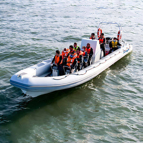 Barco profesional barco de vigilancia - LY90-100 - Qingdao Lian Ya Boat Co.,Ltd. - fueraborda / RIB
