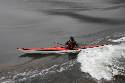 Kayak de travesía deportiva - Raven  - Eddyline Kayaks - de mar / para adulto / 1 plaza