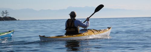 Kayak de travesía - Denali - Eddyline Kayaks - de mar / para adulto / 1 plaza
