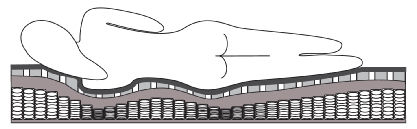 Colchón para barco - Marine+ - Ship Shape Bedding - de espuma