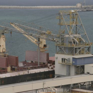 Descargador de buque neumático - ALUMINA - NEUERO Industrietechnik GmbH - continuo / móvil / sobre carril