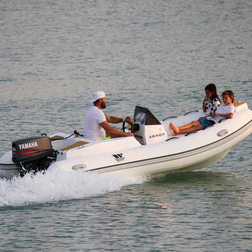 Embarcación neumática fueraborda - PT400 - Tiger Marine - RIB / open / con consola lateral