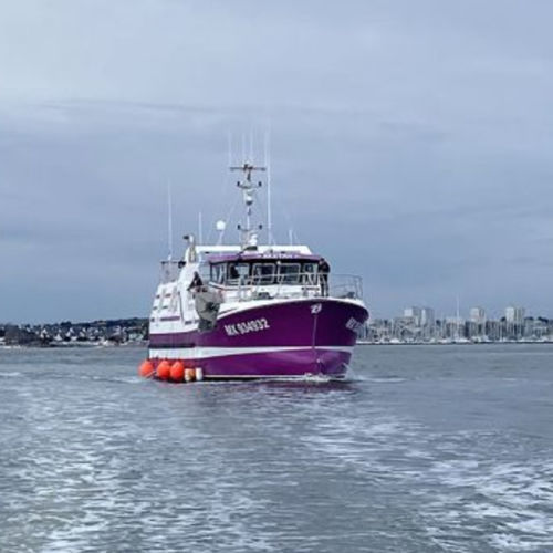 Barco profesional arrastrero - Gillnetter - Bernard Shipyard - intraborda / GRP