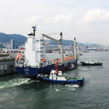 Buque de carga portacontenedores - DAE SUN SHIPBUILDING