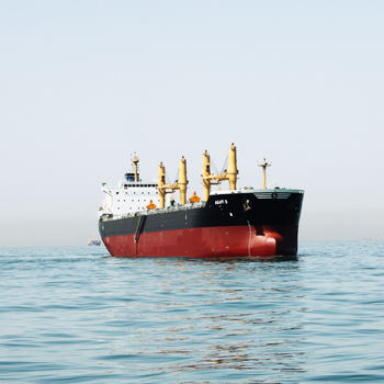 Buque de carga granelero - DAE SUN SHIPBUILDING - panamax