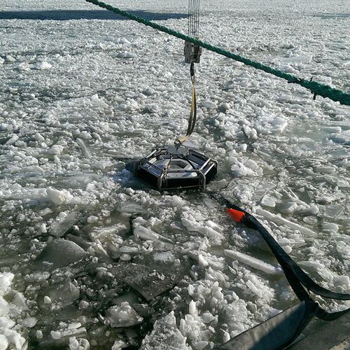 Skimmer de hidrocarburos de cepillos múltiples - Polar Bear - Desmi