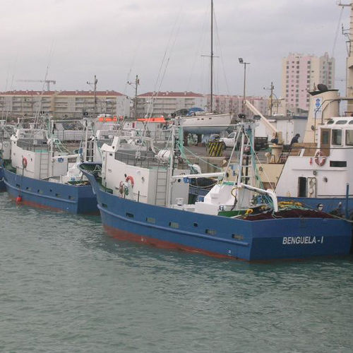 Barco profesional de redes de cerco con jareta - 19 - Estaleiros Navais de Peniche - intraborda / de acero / GRP