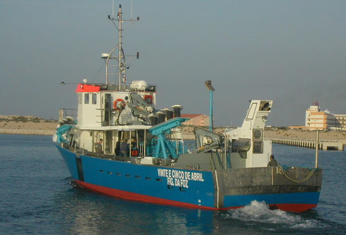 Barco profesional de redes de cerco con jareta - 24 - Estaleiros Navais de Peniche - intraborda / GRP
