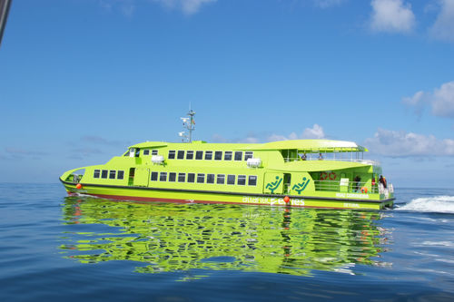 Ferri de pasajeros catamarán - 40 - Estaleiros Navais de Peniche - de acero