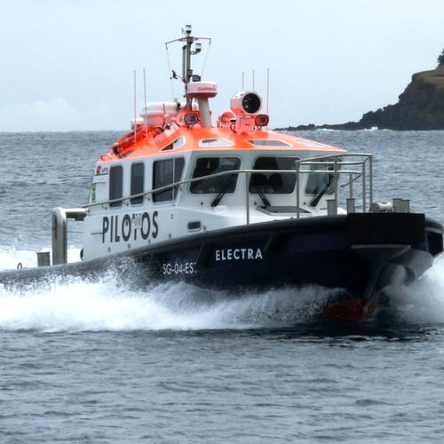 Barco profesional embarcación piloto - 11.8 - Estaleiros Navais de Peniche - intraborda / GRP