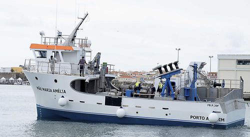 Barco profesional de redes de cerco con jareta - FB.P.20F - Estaleiros Navais de Peniche - intraborda / GRP