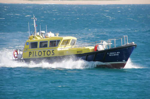 Barco profesional embarcación piloto - 12 - Estaleiros Navais de Peniche - intraborda / GRP