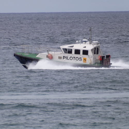 Barco profesional embarcación piloto - 12.6 - Estaleiros Navais de Peniche - intraborda / GRP