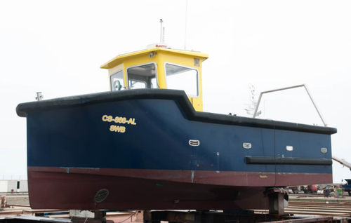 Barco profesional barco de investigación científica - SWB - Estaleiros Navais de Peniche - intraborda / GRP